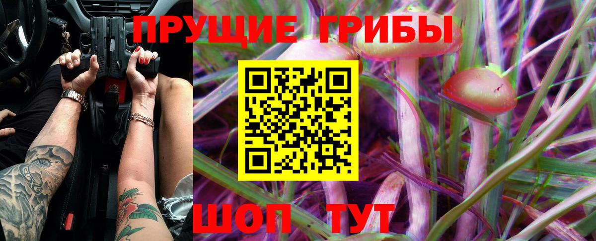Псилоцибиновые грибы GOLDEN TEACHER Йошкар-Ола