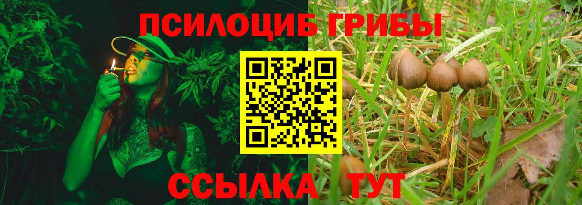 Йошкар-Ола  Псилоцибиновые грибы прущие грибы  Галлюциногенные грибы мухоморы  Вход с VPN 
